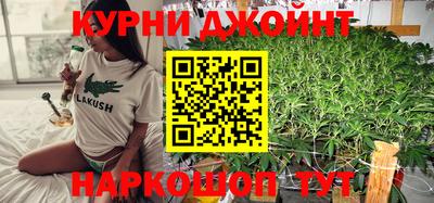 стаф Новокубанск