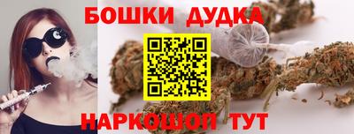 стаф Новокубанск