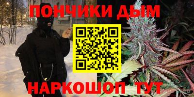 дурь Новодвинск