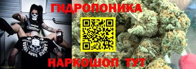 ECSTASY Новозыбков