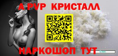 стаф Новокубанск