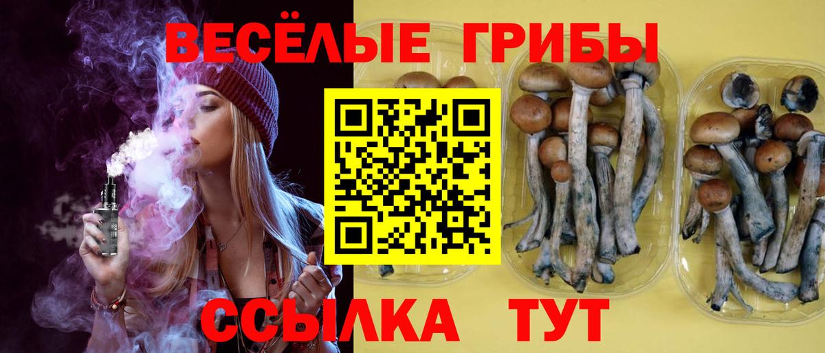 Мефедрон  НБОМе  Каннабис  COCAIN  Меф МЯУ МЯУ кристаллы  ГАШИШ  ГАШИШ  ТГК  Канабис  Урай  Alpha PVP СК   Вход с VPN 
